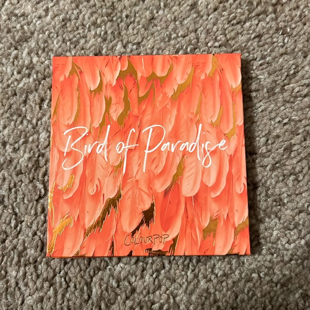 Color pop - bird of paradise
